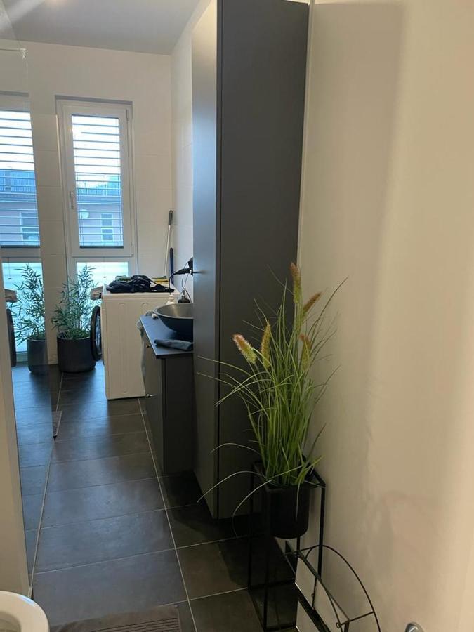 Nikolas Linz Extérieur photo